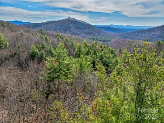 9999-13 Bob Barnwell Road, Asheville, NC 28803