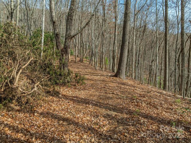 9999-13 Bob Barnwell Road, Asheville, NC 28803