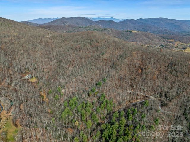 9999-13 Bob Barnwell Road, Asheville, NC 28803