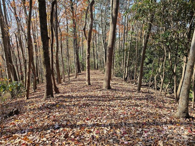 9999-13 Bob Barnwell Road, Asheville, NC 28803