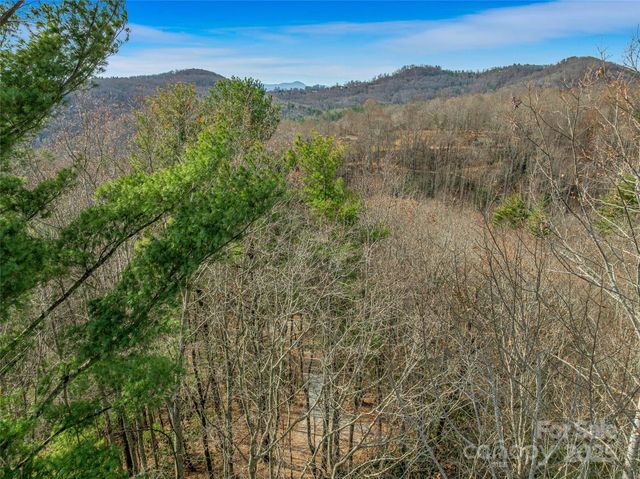 9999-13 Bob Barnwell Road, Asheville, NC 28803