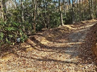 9999-13 Bob Barnwell Road, Asheville, NC 28803