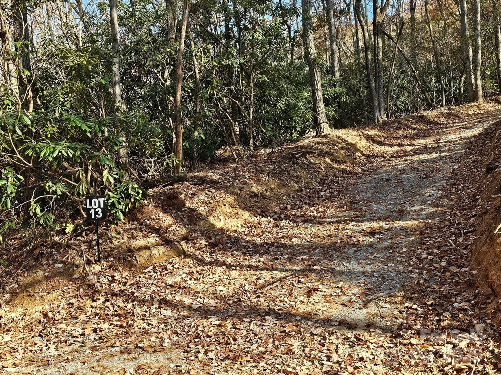 9999-13 Bob Barnwell Road, Asheville, NC 28803