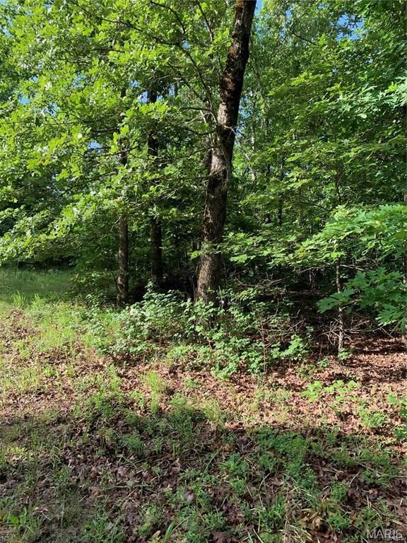 0 Highway 160W-13, Doniphan, MO 63935