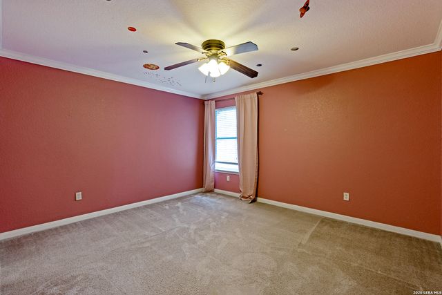 1931 Walter Raleigh, Windcrest, TX 78239