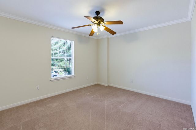 1931 Walter Raleigh, Windcrest, TX 78239
