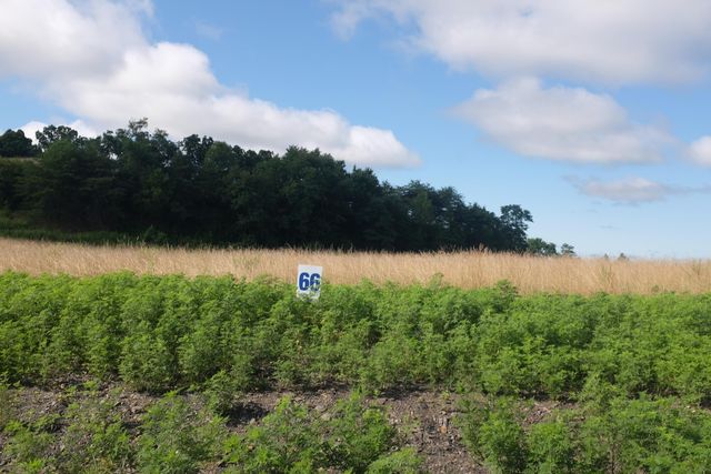 74 Bull Run, East Bernstadt, KY 40729