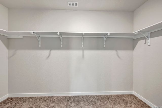 13615 Beebrush Saddle, San Antonio, TX 78253