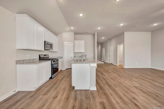 13615 Beebrush Saddle, San Antonio, TX 78253