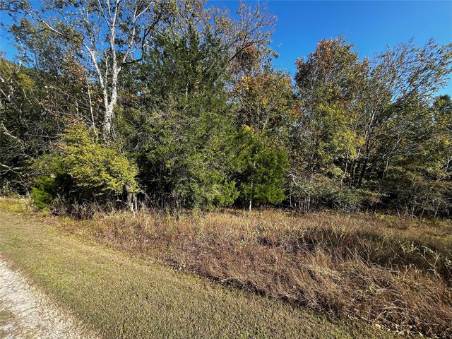 165 N Pine Harbour Drive, Coldspring, TX 77331