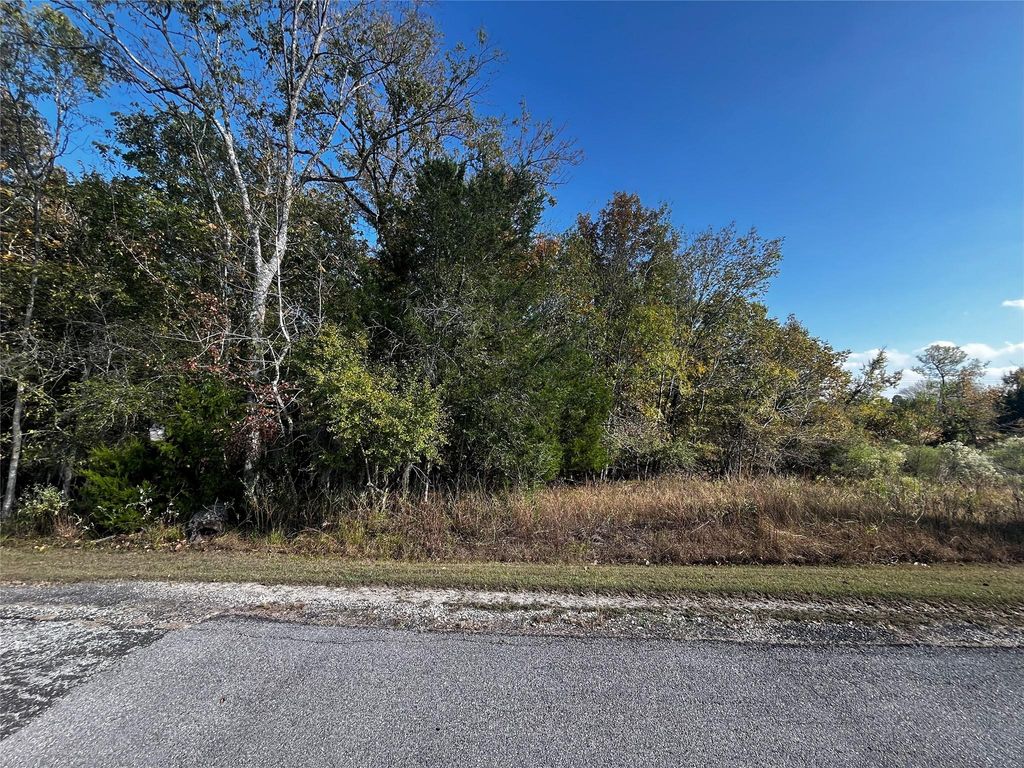 165 N Pine Harbour Drive, Coldspring, TX 77331