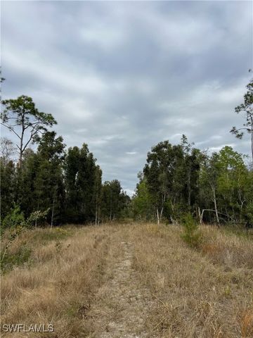 24265 Rocky RD, Bonita Springs, FL 34135