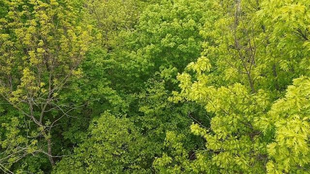 South 10 150th Street, Frederic, WI 54837