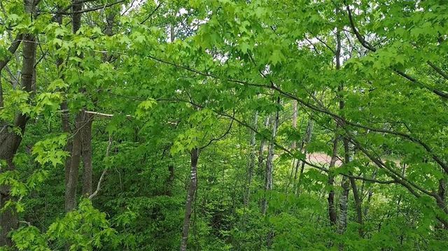 South 10 150th Street, Frederic, WI 54837
