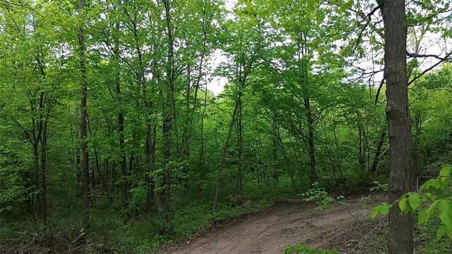 South 10 150th Street, Frederic, WI 54837