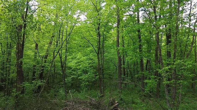 South 10 150th Street, Frederic, WI 54837