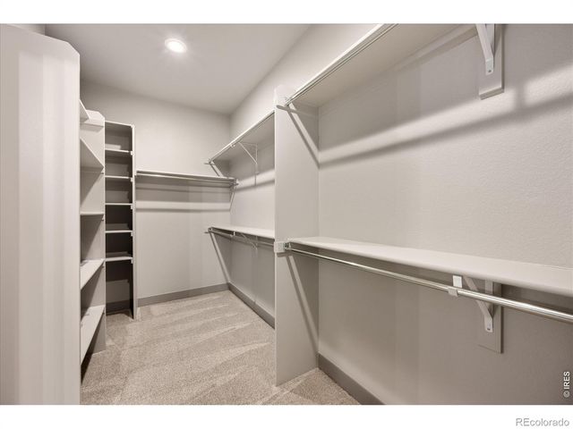 209 Silo Court, Severance, CO 80550