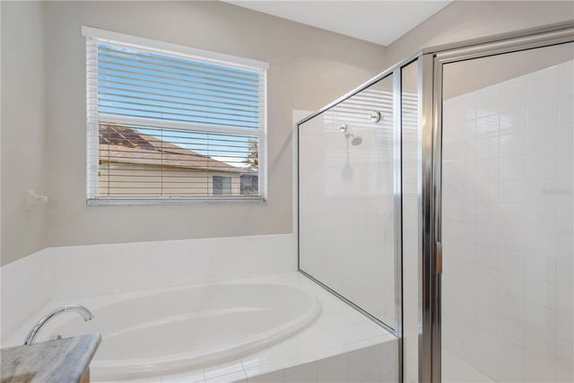31230 ALCHESTER DRIVE, Wesley Chapel, FL 33543
