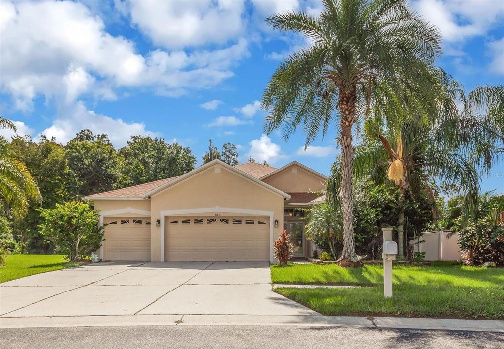 31230 ALCHESTER DRIVE, Wesley Chapel, FL 33543