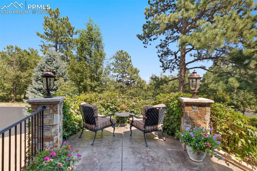 1830 Brantfeather Grove, Colorado Springs, CO 80906 — photo 5