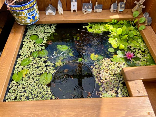 1940 Soda Mountain Road, Ashland, OR 97520