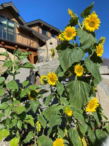 1940 Soda Mountain Road, Ashland, OR 97520