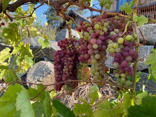 1940 Soda Mountain Road, Ashland, OR 97520