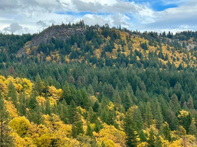 1940 Soda Mountain Road, Ashland, OR 97520