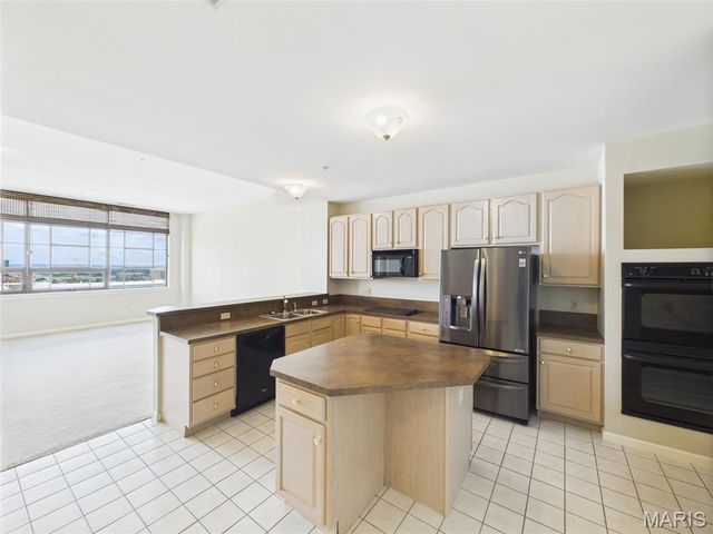 400 S 14th Street 1204, St Louis, MO 63103