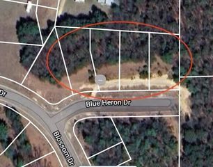 Lt1 BLUE HERON DRIVE, Warrens, WI 54666