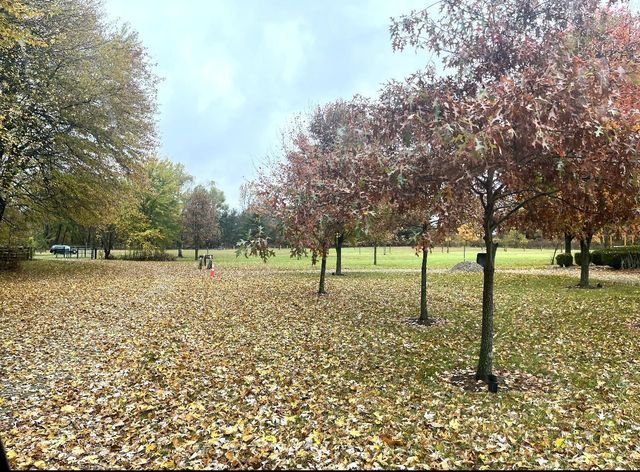 13958 Johnstown Utica Road, Johnstown, OH 43031