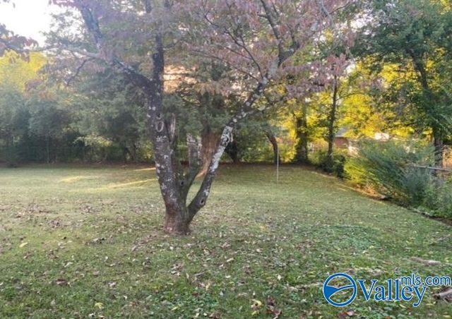 3203 Dyas Drive, Huntsville, AL 35810