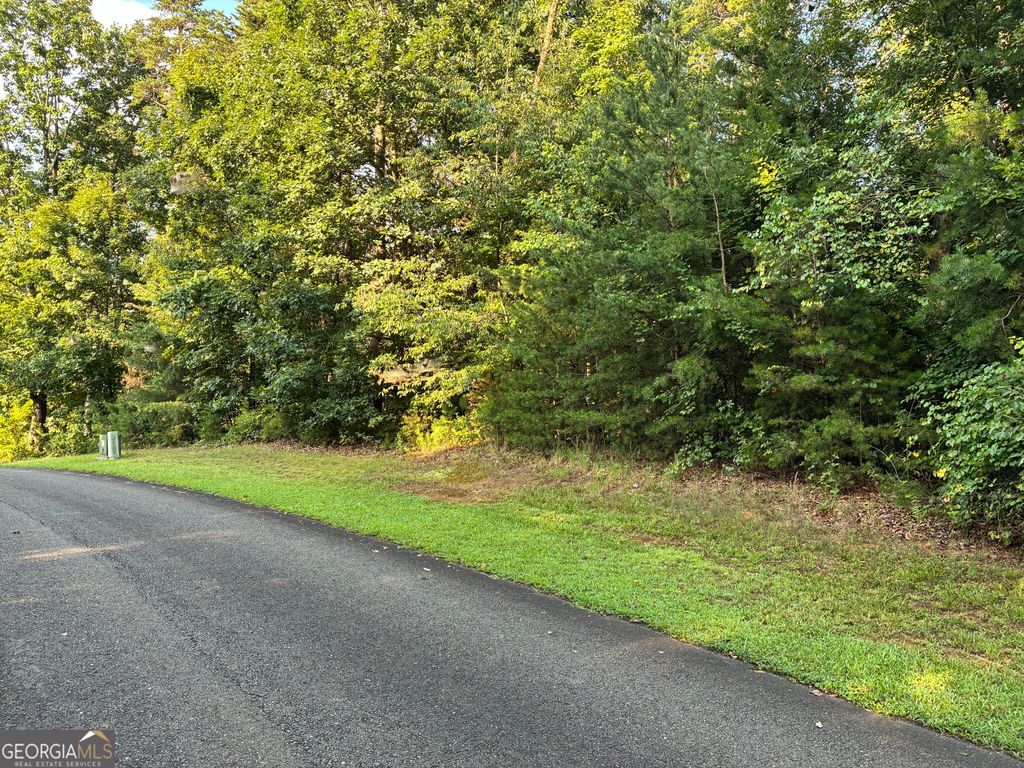 0 Town Creek Road, Talking Rock, GA 30175