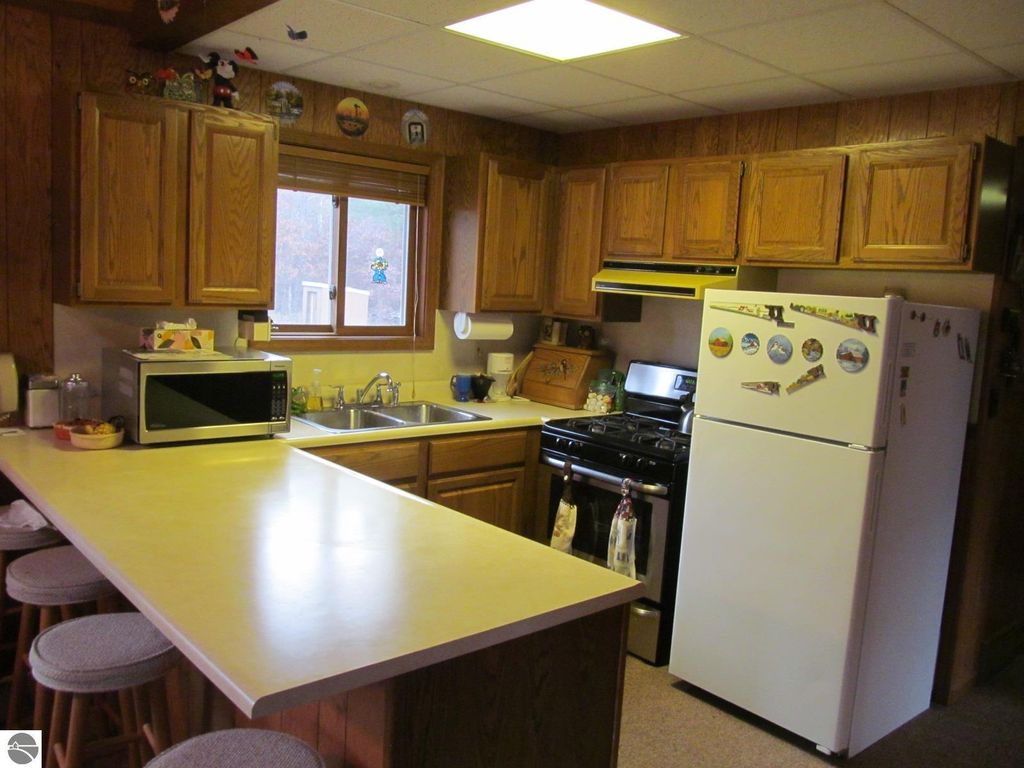 Image 3 of property listing at 1191 W 10 1/2 Mile Road, Irons, MI 49644