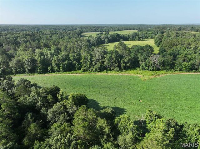 29259 State Highway O, Marquand, MO 63655