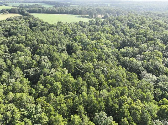 29259 State Highway O, Marquand, MO 63655