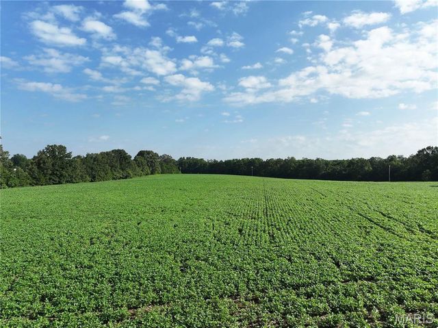 29259 State Highway O, Marquand, MO 63655