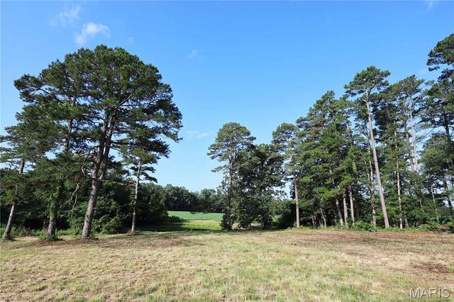 29259 State Highway O, Marquand, MO 63655