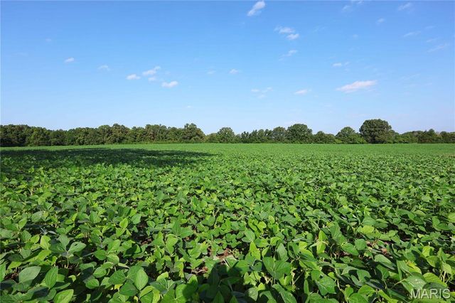 29259 State Highway O, Marquand, MO 63655