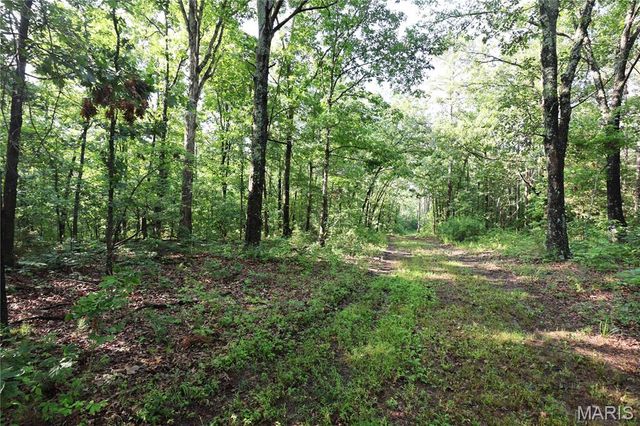 29259 State Highway O, Marquand, MO 63655