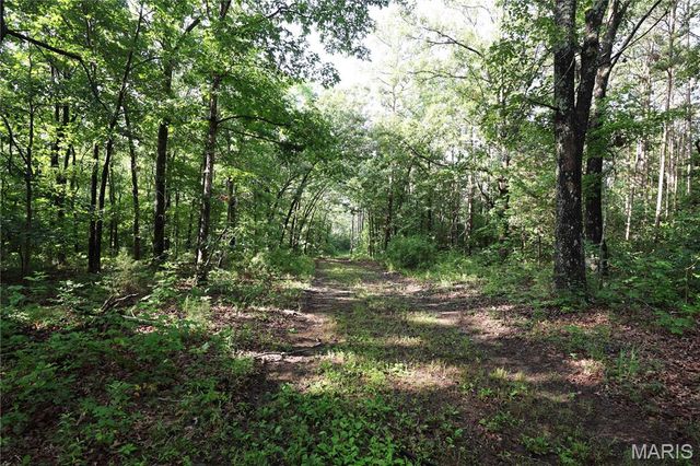 29259 State Highway O, Marquand, MO 63655