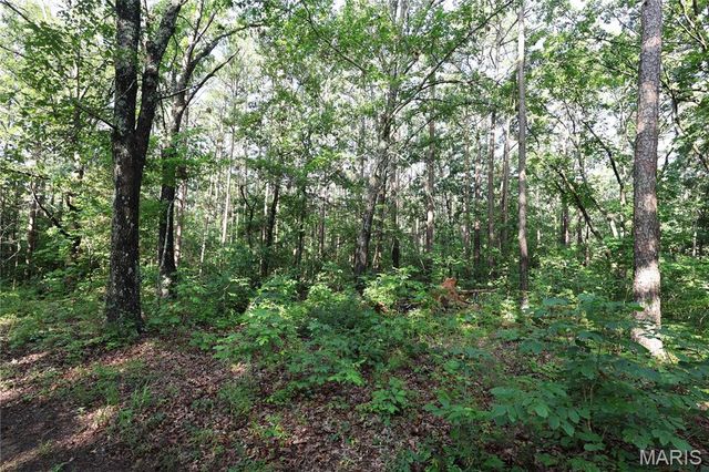 29259 State Highway O, Marquand, MO 63655