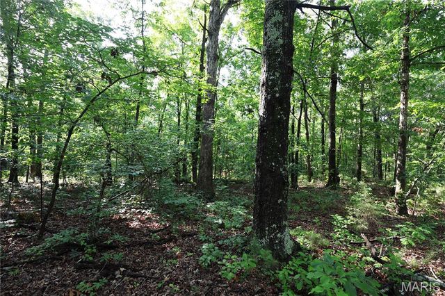 29259 State Highway O, Marquand, MO 63655