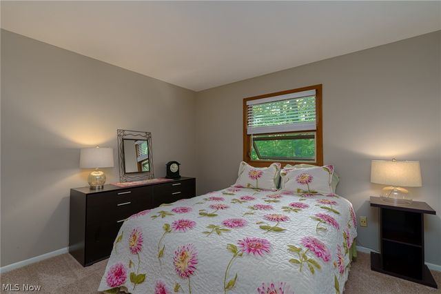 9124 Meadow Lane, Brecksville, OH 44141