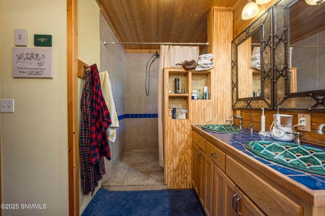 5 Tulpia Trail, Hillsboro, NM 88042