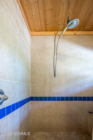 5 Tulpia Trail, Hillsboro, NM 88042