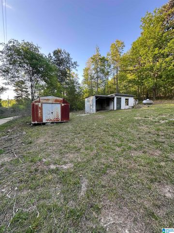 133 SCHOOL CUTOFF ROAD, Jacksonville, AL 36265