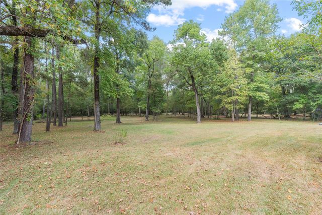 6702 W Bluff Drive, Magnolia, TX 77354