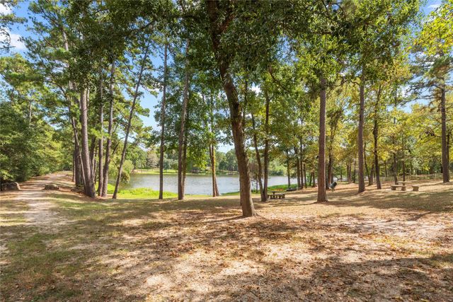 6702 W Bluff Drive, Magnolia, TX 77354
