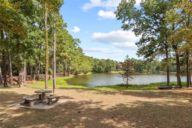 6702 W Bluff Drive, Magnolia, TX 77354